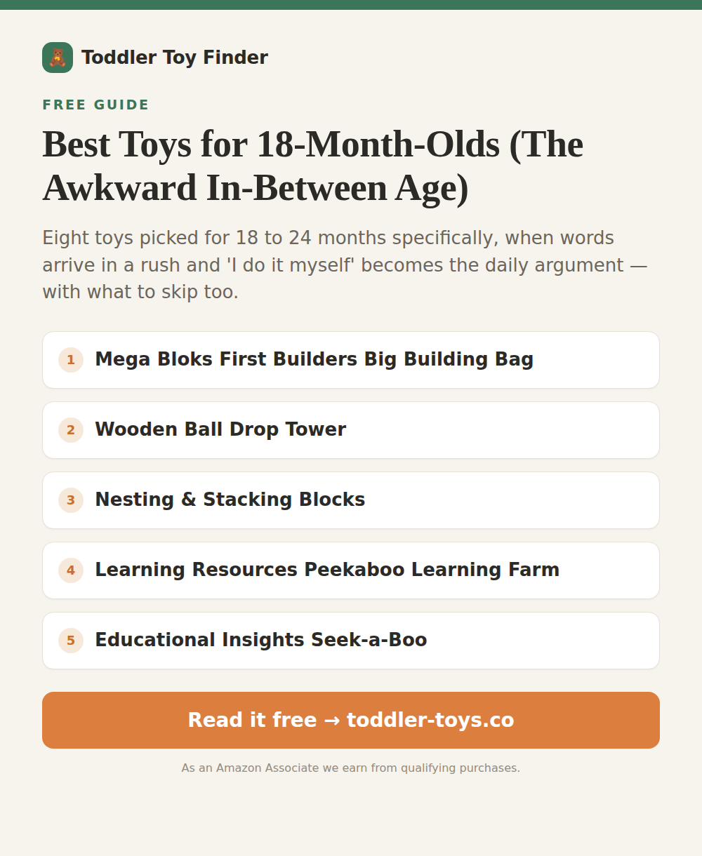 Best Toys for 18-Month-Olds