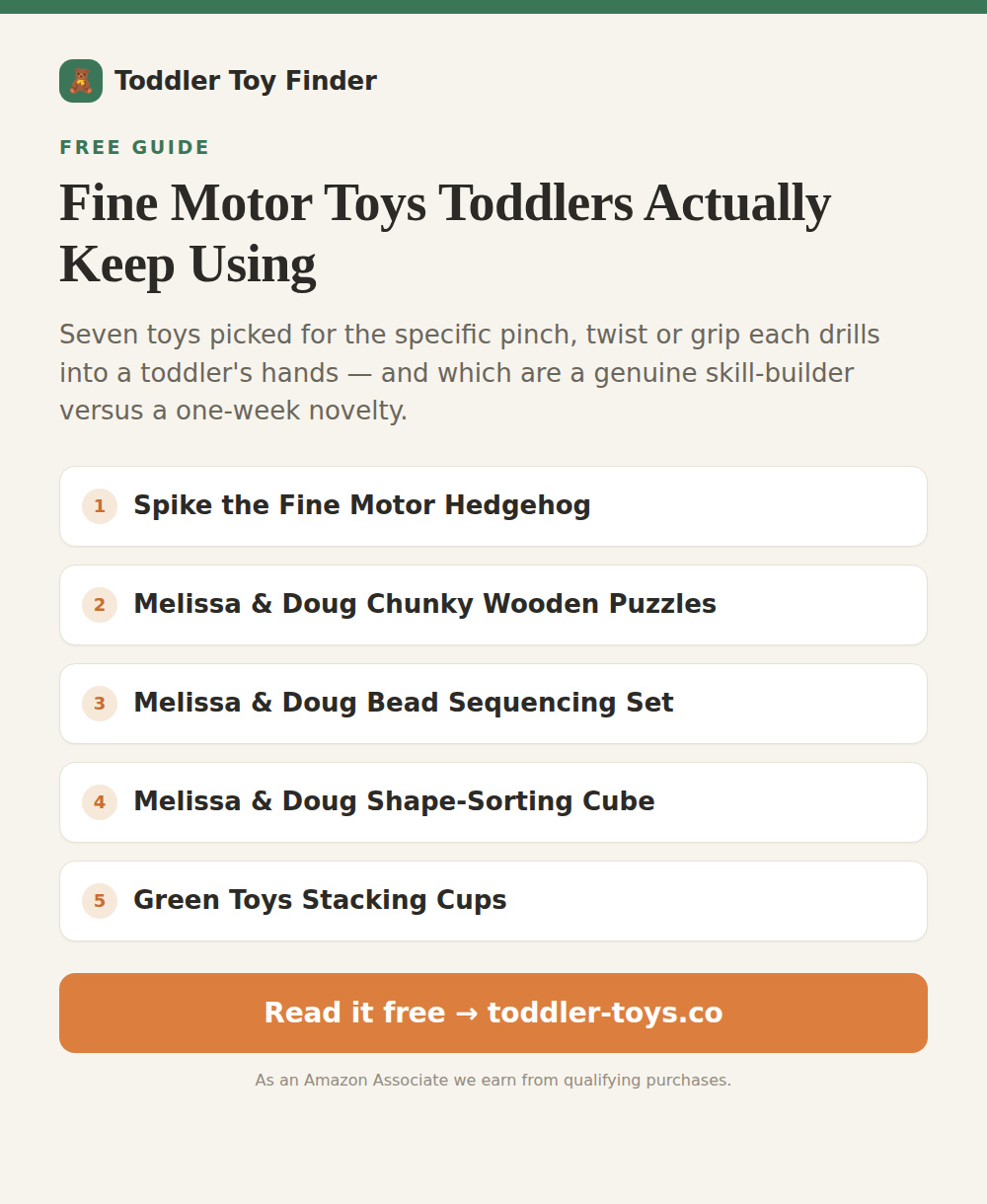 Fine Motor Toys for Toddlers